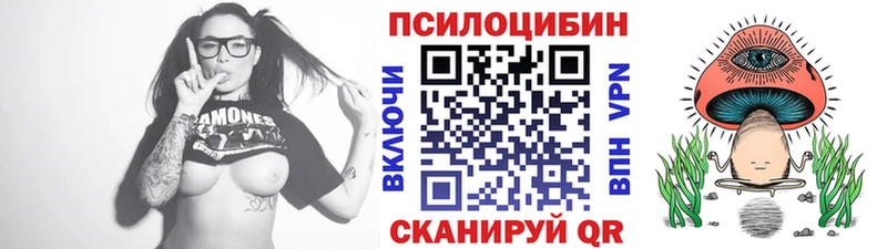 Псилоцибиновые грибы Psilocybine cubensis  Новокузнецк 