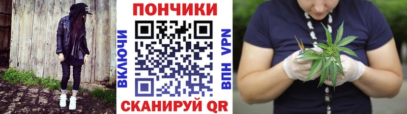 Бошки марихуана ГИДРОПОН mega как зайти Новокузнецк купить наркотик